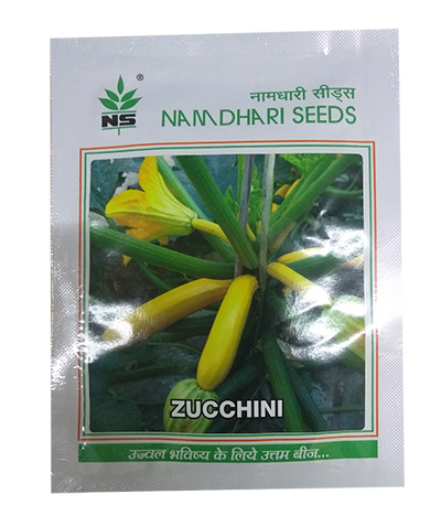 NS 9881 F1 Hybrid Long Yellow Zucchini Seeds