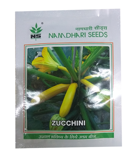 NS 9881 F1 Hybrid Long Yellow Zucchini Seeds