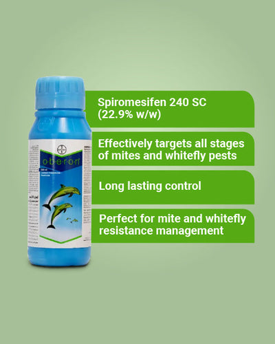 Oberon Insecticide