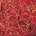 OJASWI CHILLI (HPH-017)