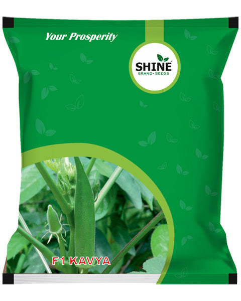 SHINE OKRA F1 KAVYA SEEDS