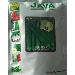 JAVA OKRA NURVI F1 HYBRID SEEDS