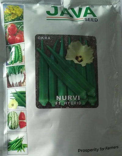 JAVA OKRA NURVI F1 HYBRID SEEDS