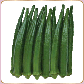 ROHINI BHENDI (OKRA) ( रोहिणी भिंडी )