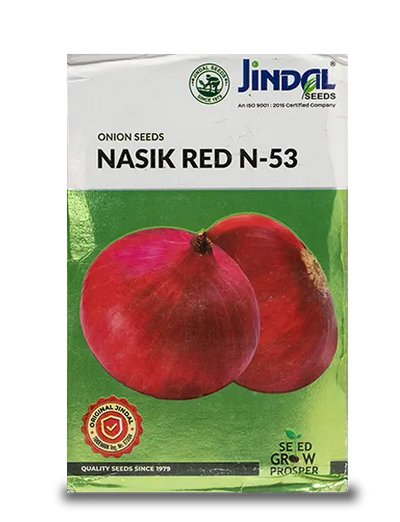 JINDAL NASIK RED ONION SEEDS (N-53)