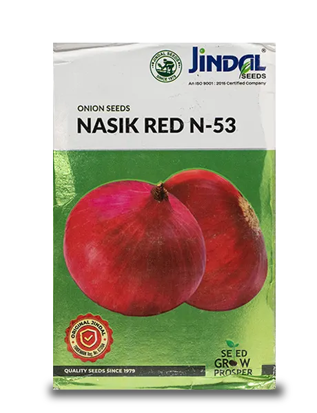 JINDAL NASIK RED ONION SEEDS (N-53)