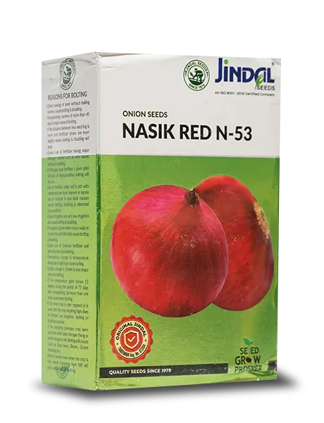 JINDAL NASIK RED ONION SEEDS (N-53)