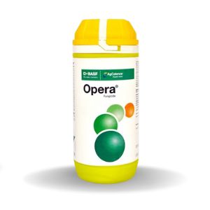 OPERA FUNGICIDE