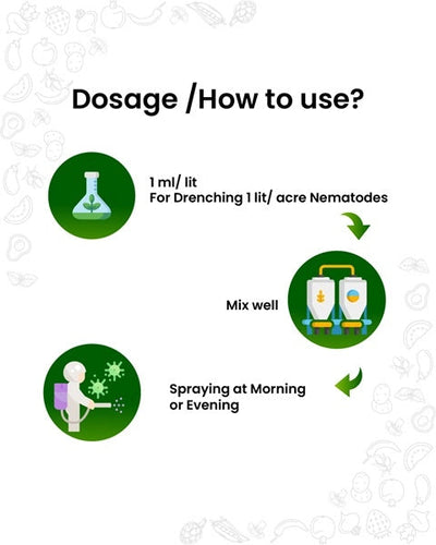 Orga Neem 10000 PPM Bio Pesticide