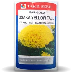 OSAKA YELLOW TALL MARIGOLD