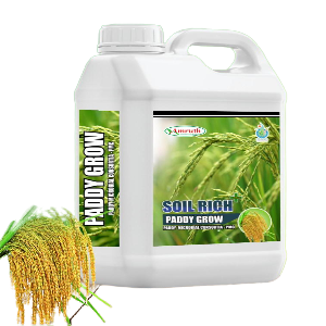 AMRUTH PADDY GROW (BIO FERTILIZER)