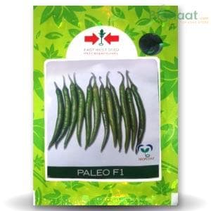 PALEO CHILLI SEEDS