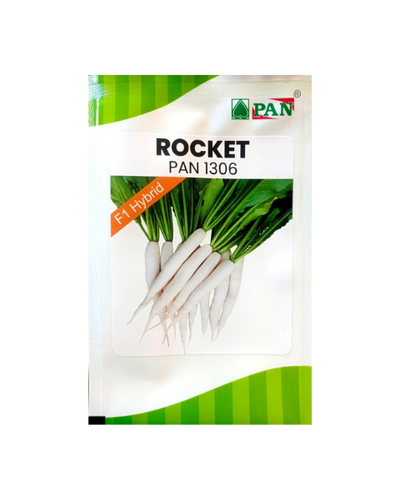 PAN 1306 ROCKET RADISH