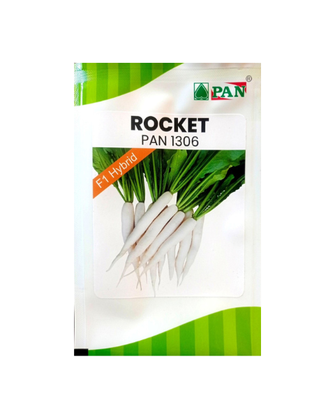 PAN 1306 ROCKET RADISH