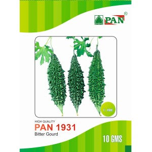 PAN 1931 HYBRID BITTER GOURD SEEDS (DARK GREEN)