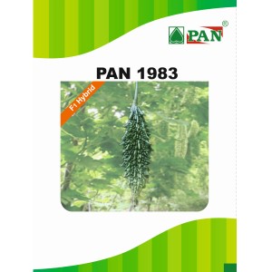 PAN 1983 HYBRID BITTER GOURD SEEDS (DARK GREEN)