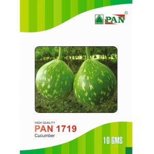 PAN 1719 HYBRID BOTTLE GOURD (DARK GREEN COLOUR WITH SPOTS)