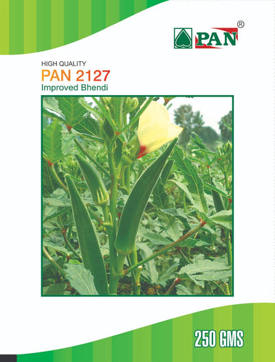 PAN 2127 HYBRID BHENDI SEEDS (DARK GREEN)