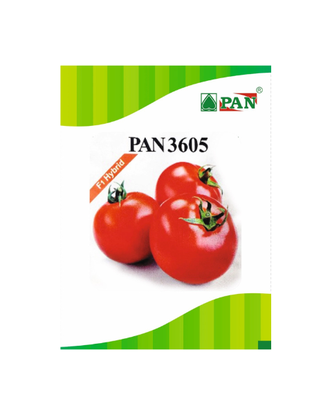 PAN TOMATO 3605