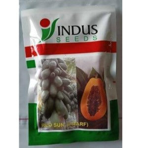 INDUS PAPAYA RED SUN DWARF F1 HYBRID SEEDS