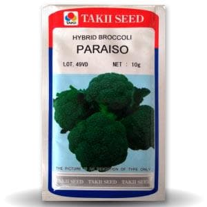 PARAISO BROCCOLI