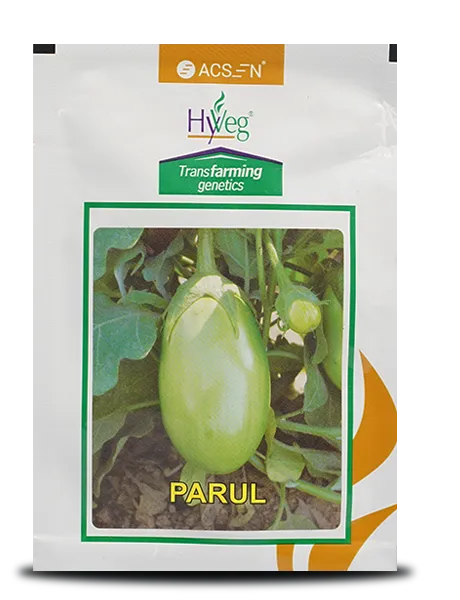 PARUL BRINJAL SEEDS