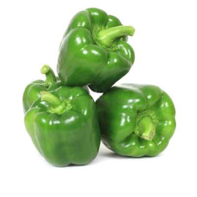 URJA DISCOVER - CAPSICUM SEEDS