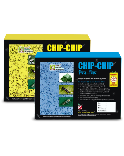 CHIPCHIP YST TRAPS SET (YELLOW)