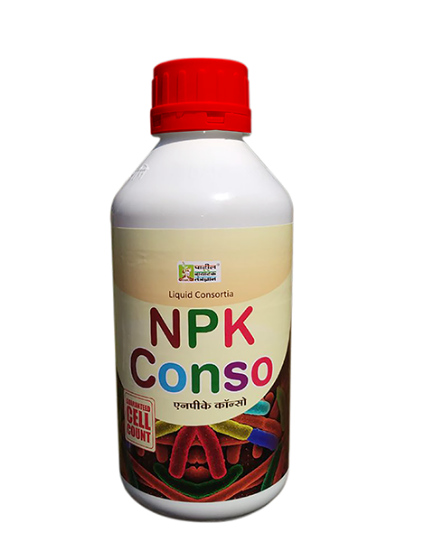 NPK CONSO