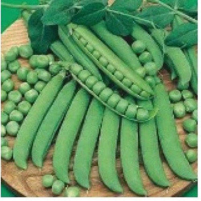 PEAS AFA SEEDS