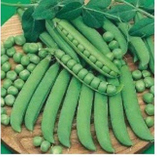 PEAS AFA SEEDS