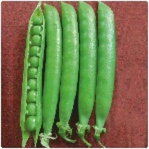 PEAS AFA SEEDS