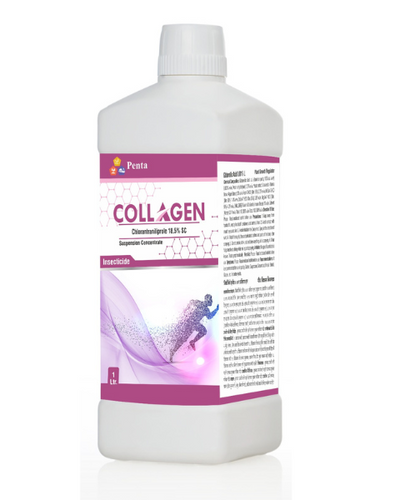 PENTA COLLAGEN