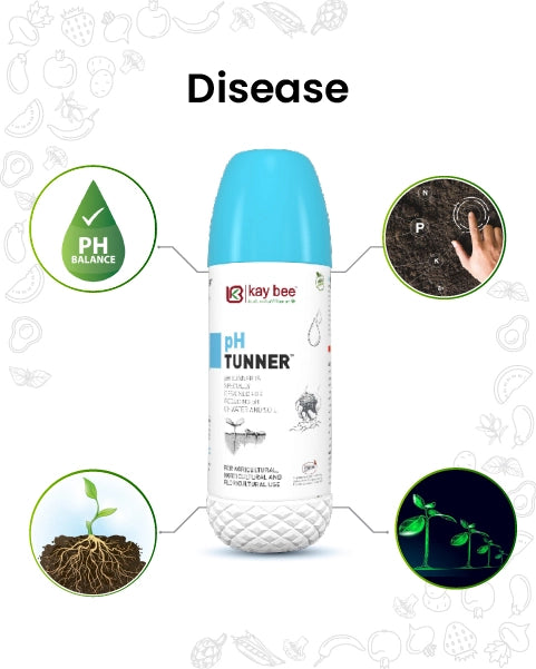 PH TUNNER ( CONTROLS OPTIMAL PH LEVELS)