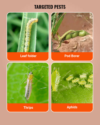 Phoskill Insecticide