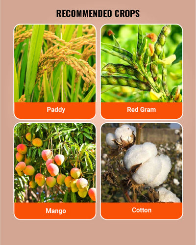 Phoskill Insecticide