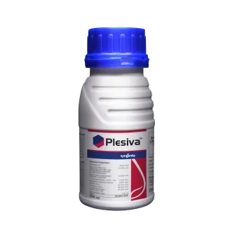 PLESIVA INSECTICIDE