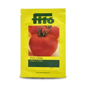 POLYANA TOMATO ( पोलियाना टमाटर )