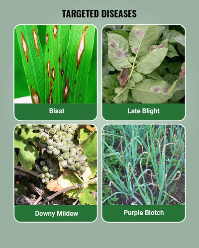 Polyram Fungicide