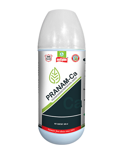 PRANAM-Ca