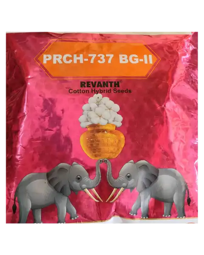 PRCH-737 BG-II REVANTH