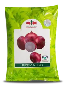 PREMA 178 ONION SEEDS