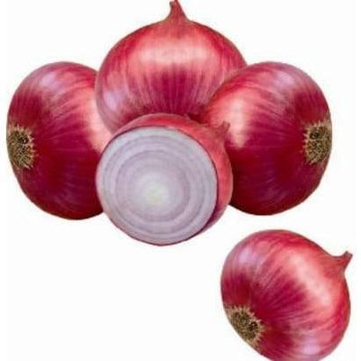 PREMA 178 ONION SEEDS