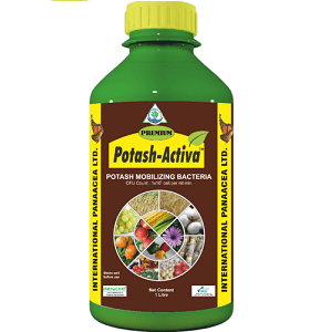 PREMIUM POTASH ACTIVA (POTASH MOBILIZING BACTERIA)