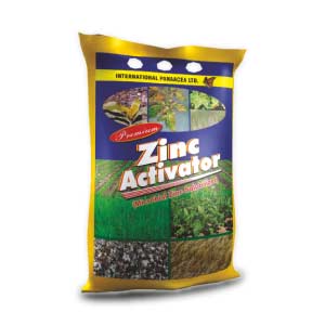 PREMIUM ZINC ACTIVATOR POWDER