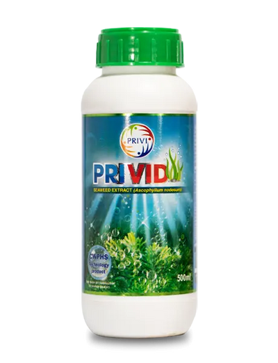 PRIVID SEAWEED EXTRACT (GROWTH PROMOTER)