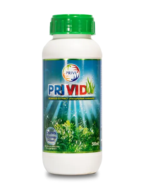 PRIVID SEAWEED EXTRACT (GROWTH PROMOTER)