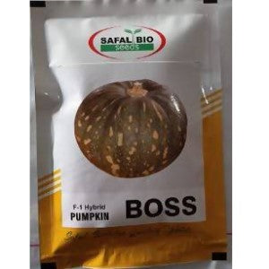 BOSS F1 HYBRID PUMPKIN SEEDS