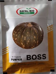 BOSS F1 HYBRID PUMPKIN SEEDS