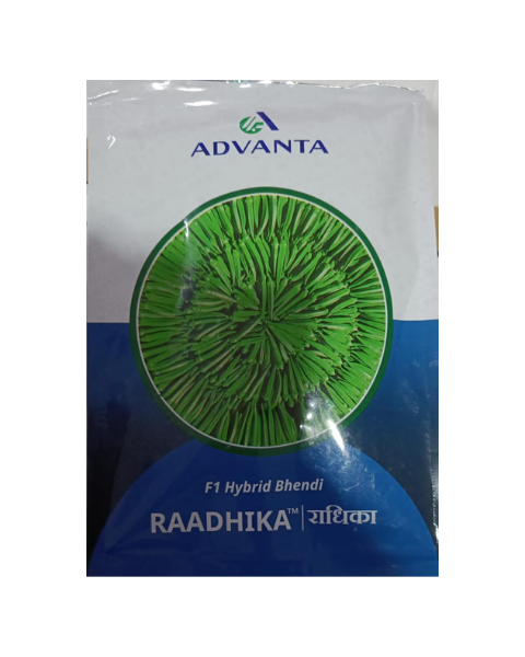 Raadhika Bhindi